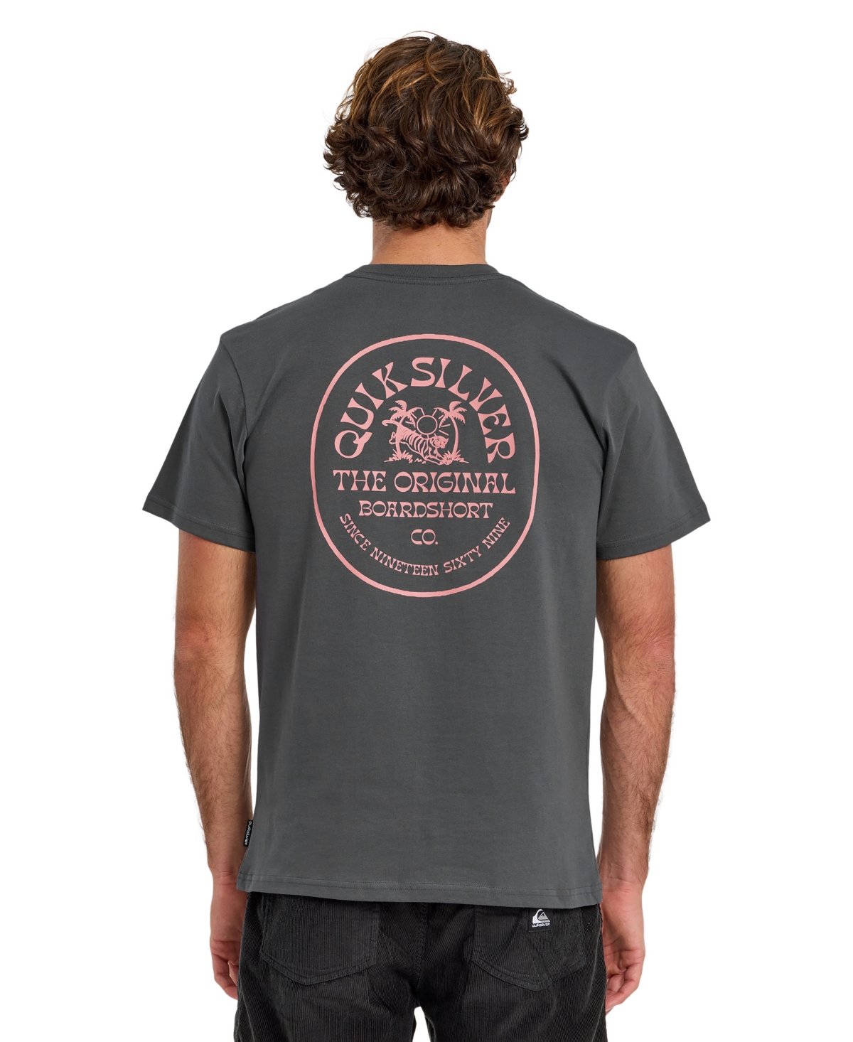 Quiksilver Men's In The Wild Short-Sleeve T-Shirt