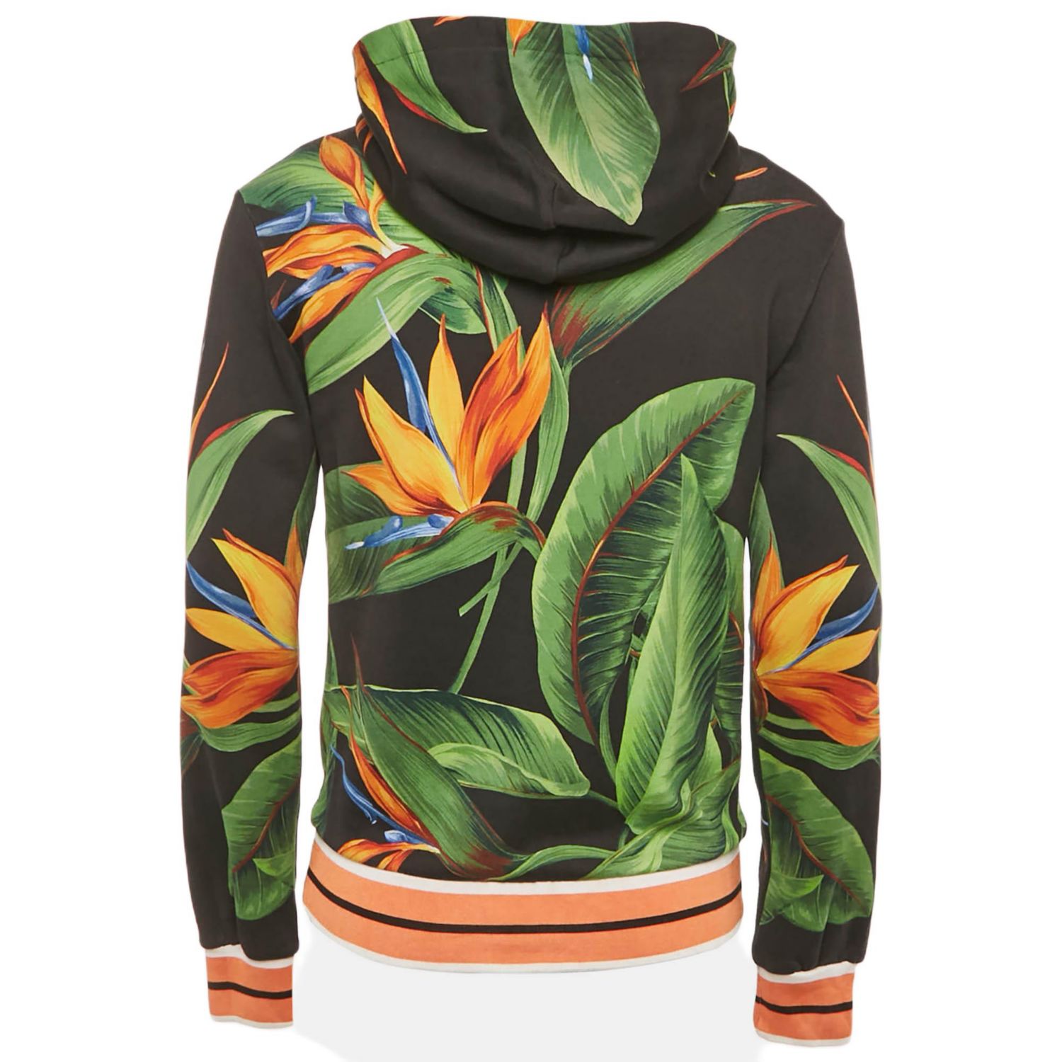 Men's Black Bird Of Paradise Print Cotton Hooded Sweatshirt