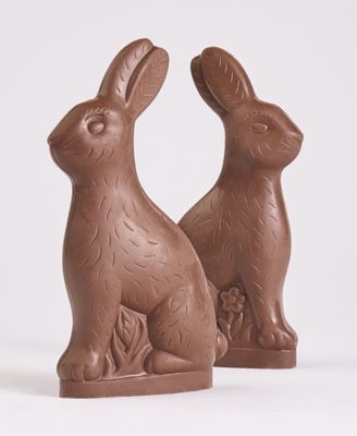 Solid Milk Chocolate Easter Bunny, 2 Pack