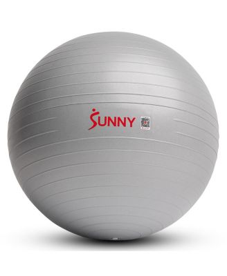 Premium Yoga Ball Extra Small 45CM Anti-Burst Exercise Ball with Pump