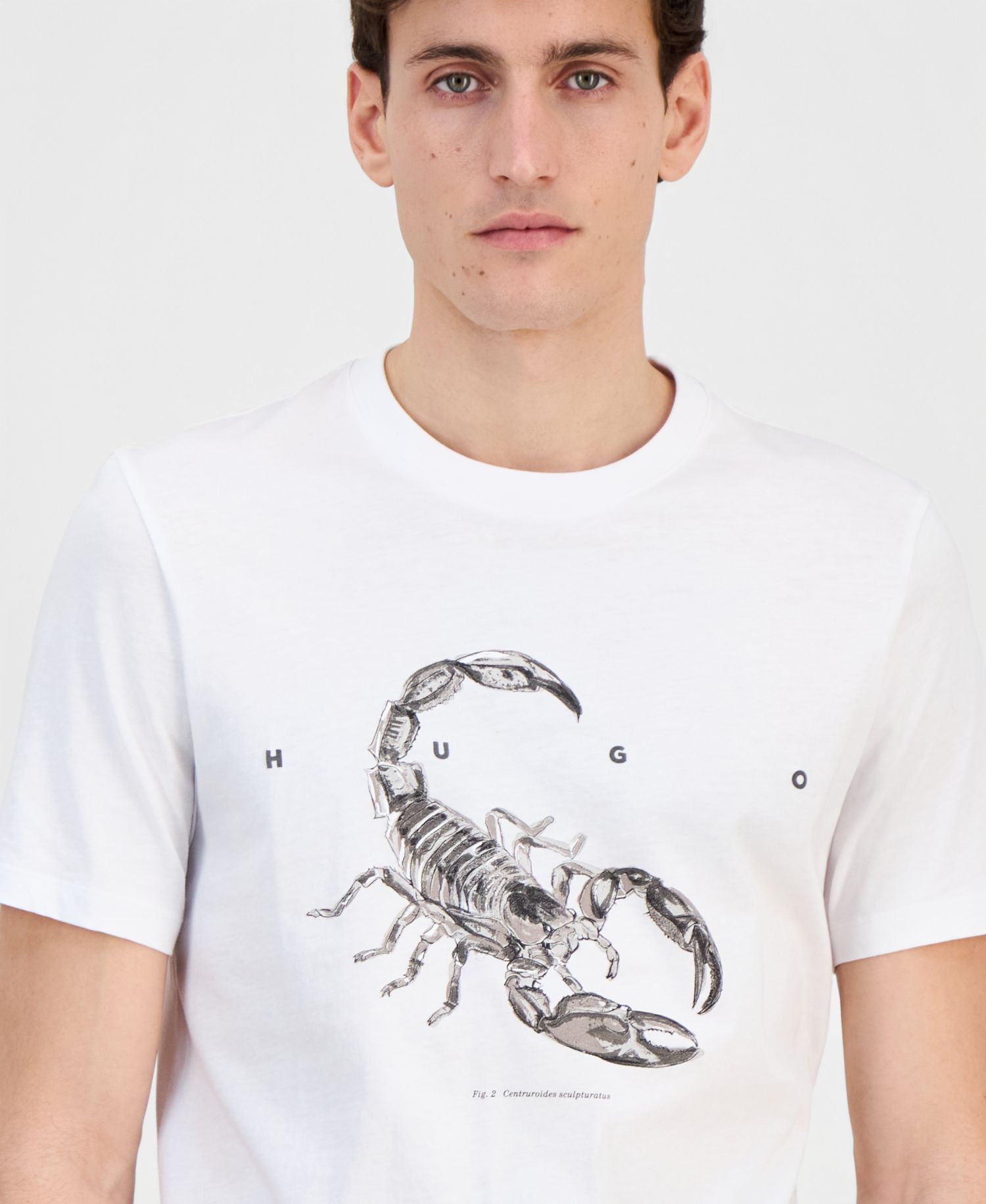 Men's Cotton Crewneck Short-Sleeve T-Shirt