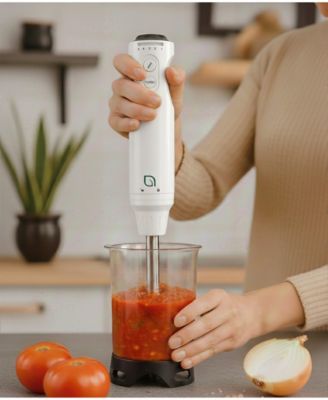 2" Immersion Handheld Blender