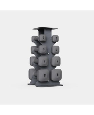 SafeGrip Dumbbells Lower Set with Light Rack - 2, 3, 5, 8 lbs