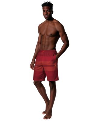 Men's 9" Breaker Stripe Volley Swim Shorts