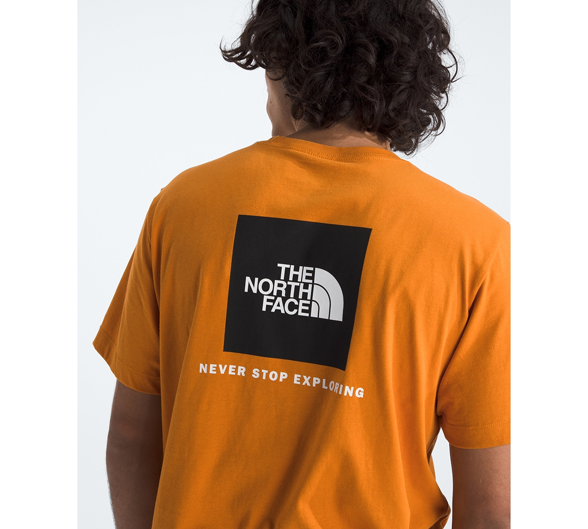 The North Face Men's Evolution Box Nse Short-Sleeve T-Shirt