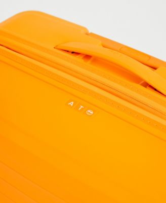 FastForward Large Expandable Spinner