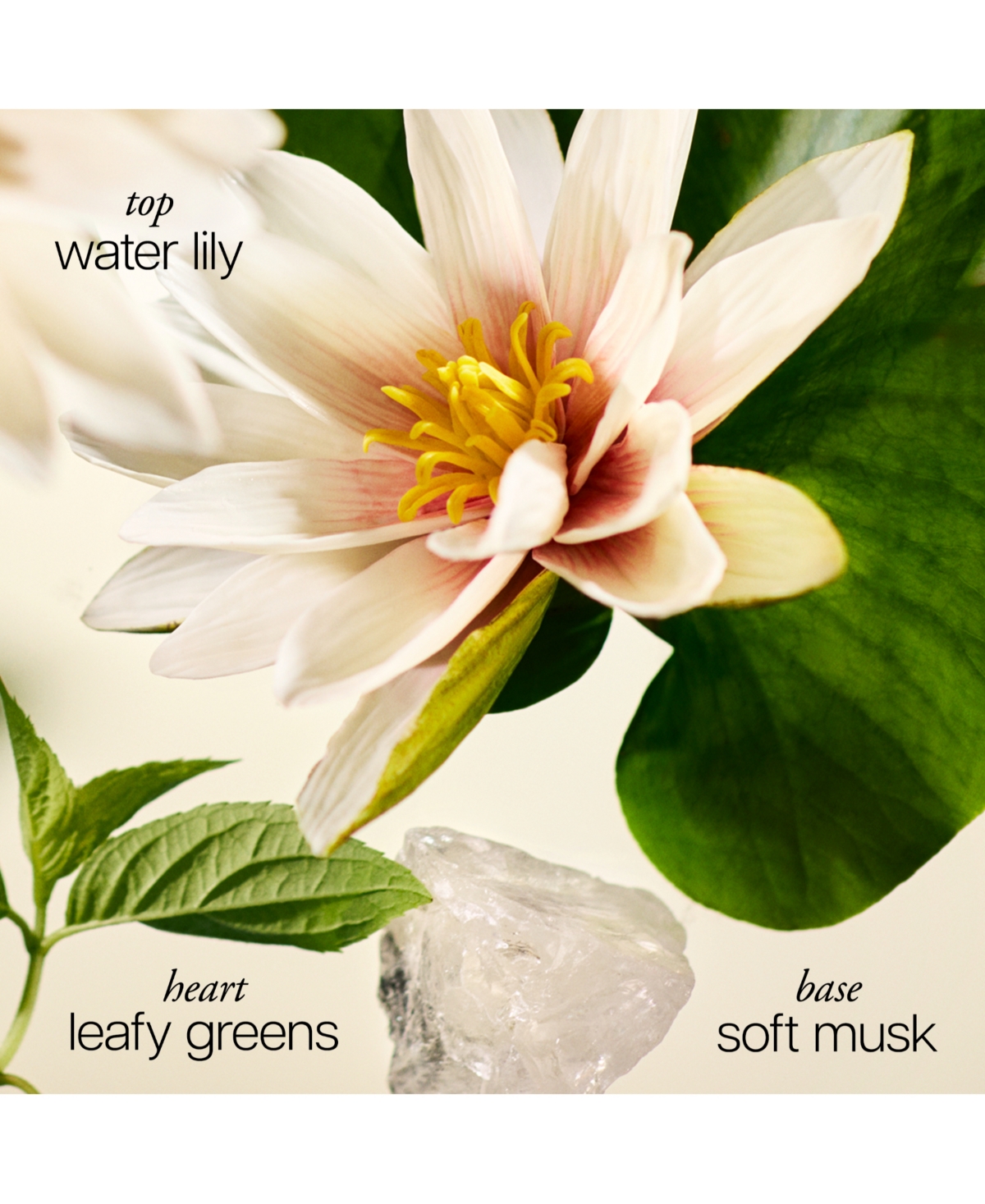 philosophy 3-Pc. Grace Eau De Parfum Spray Gift Set