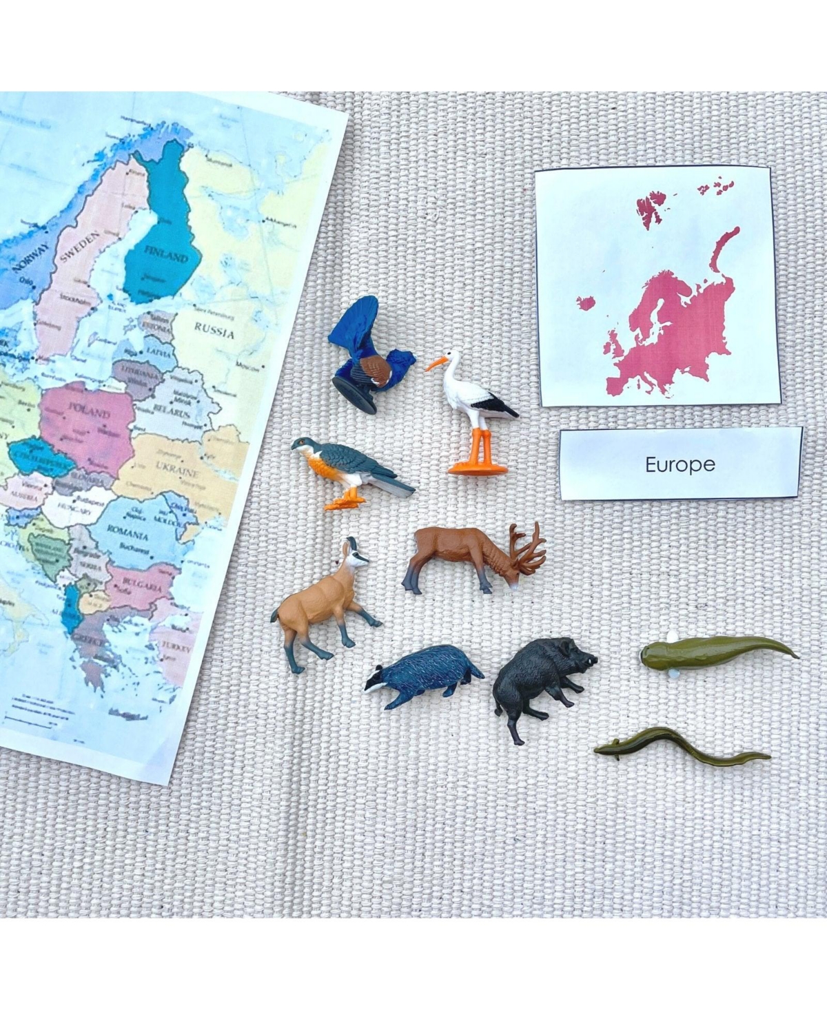 Safari Ltd. 9 Piece European Animals