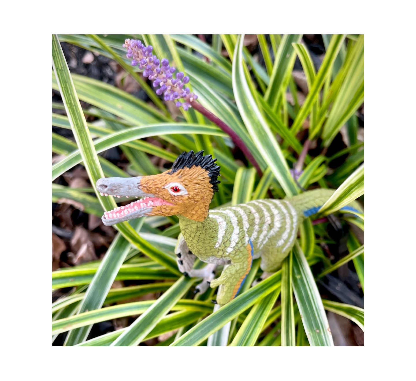 Детская фигурка Safari Ltd. Austroraptor — фото 3