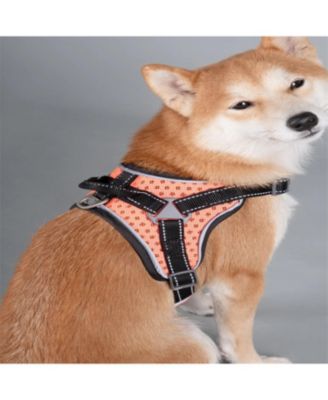 High-Performance Sport Dog Harness “Helios Scorpion” - Free-Range Mobility & Secure Fit for Active Dogs