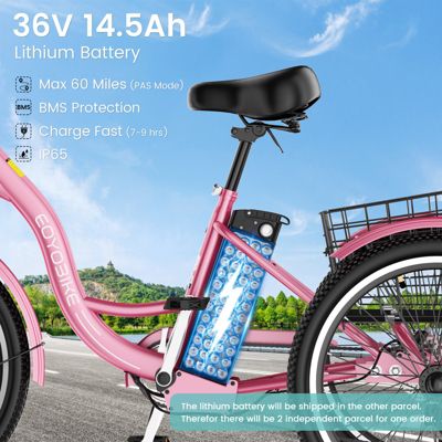 350W Electric Tricycle for Adults with 24" x 2.1" Wheels