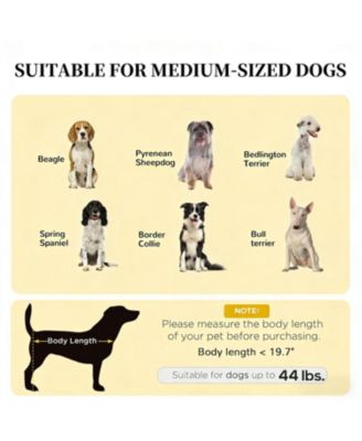 Portable Elevated Dog Cot - Cooling Pet Bed with Breathable Mesh