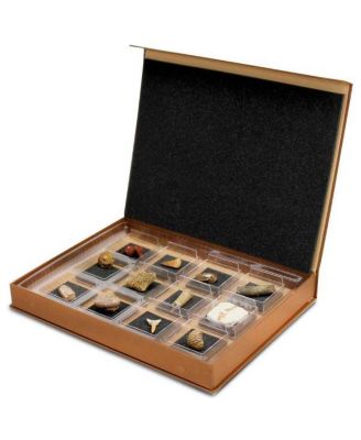 The Nature Collection - Fossils Set 2
