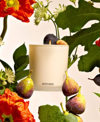 Fig and Olive Leaf Classic Scented Candle, 10.5 oz.