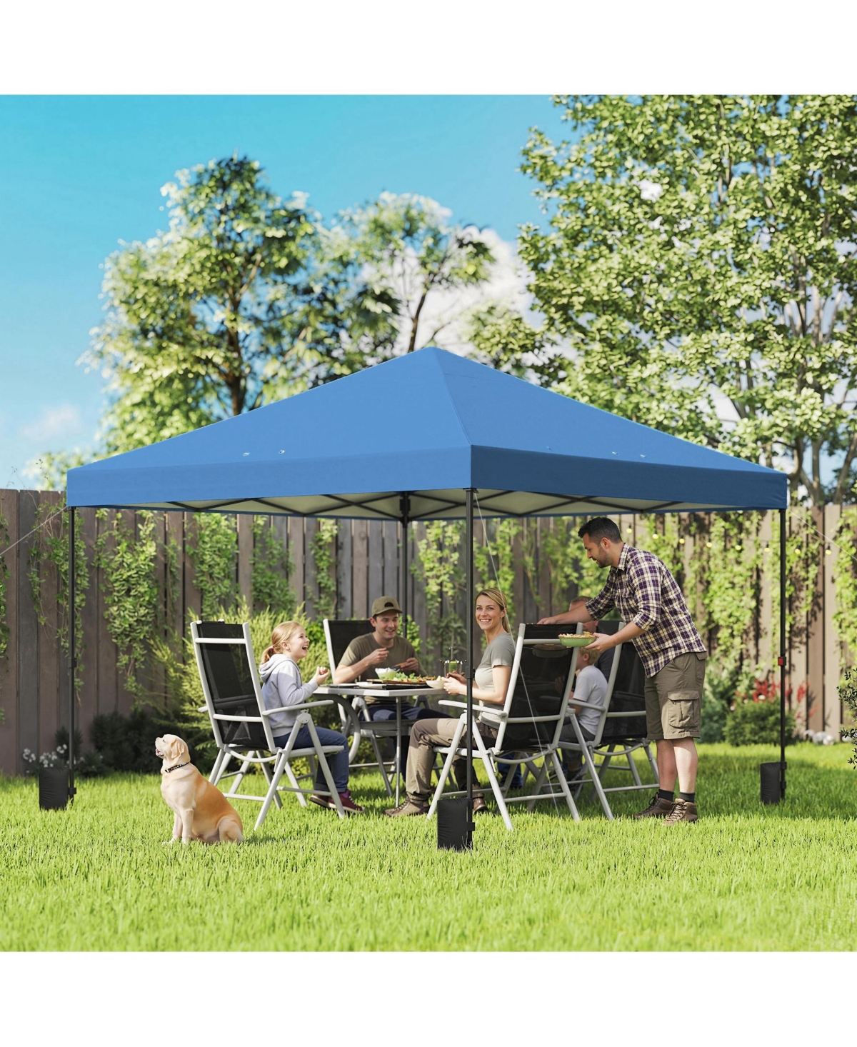 Outsunny 10 x ft Pop Up Canopy Tent with One Push Setup, Dark