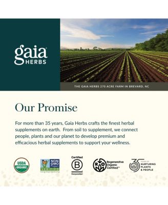 Gaia Herbs Adrenal Health Daily Support - Herbal Supplement - Maintain Healthy Energy & Stress Levels - 120 Vegan Liquid Phyto-Caps (60 Servings)