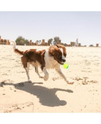 Pack of 20 Low Compression Stage Tennis Balls for Beginners and Youth Training 75 Percent Lower Pressure Practice Balls with Mesh Bag