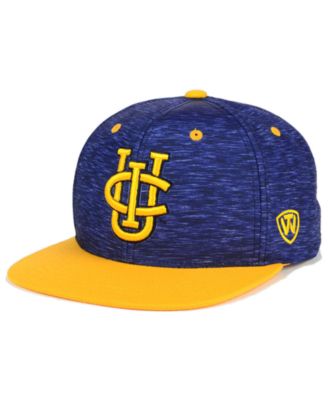 Top of the World - UC Irvine Anteaters Energy 2-Tone Snapback Cap