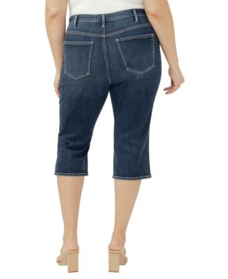 Plus Size Isbister High-Rise Capri Jeans