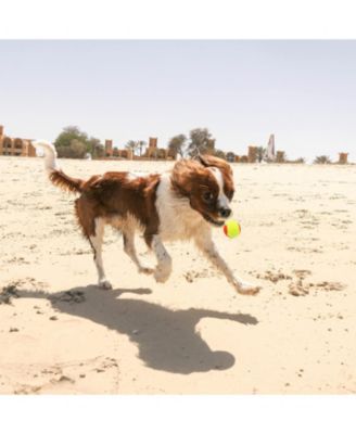 Pack of 20 Low Compression Training Tennis Balls for Kids and Beginners with Durable Felt and Mesh Carrying Bag