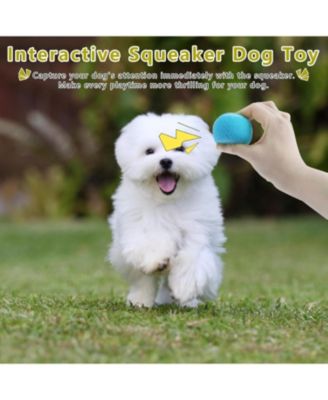 Pack of 40 Squeaky Mini Tennis Ball for Small Dogs Colorful Pet Playing Balls for Interactive Training and Ball Launchers