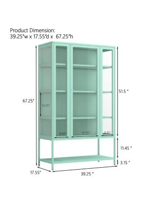 Iron Display Cabinet with Glass Door and LED Lights