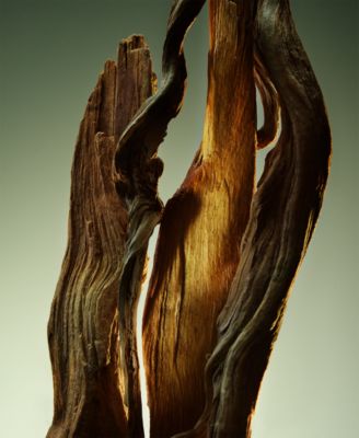 Man Wood Essence Parfum, 5 oz.