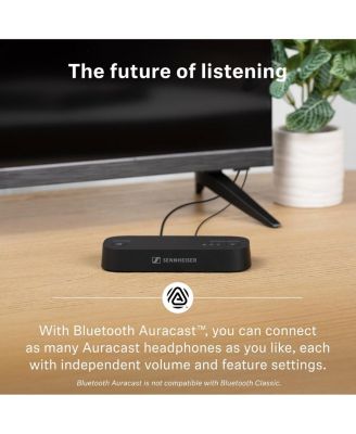 RS 275 TV Headphones