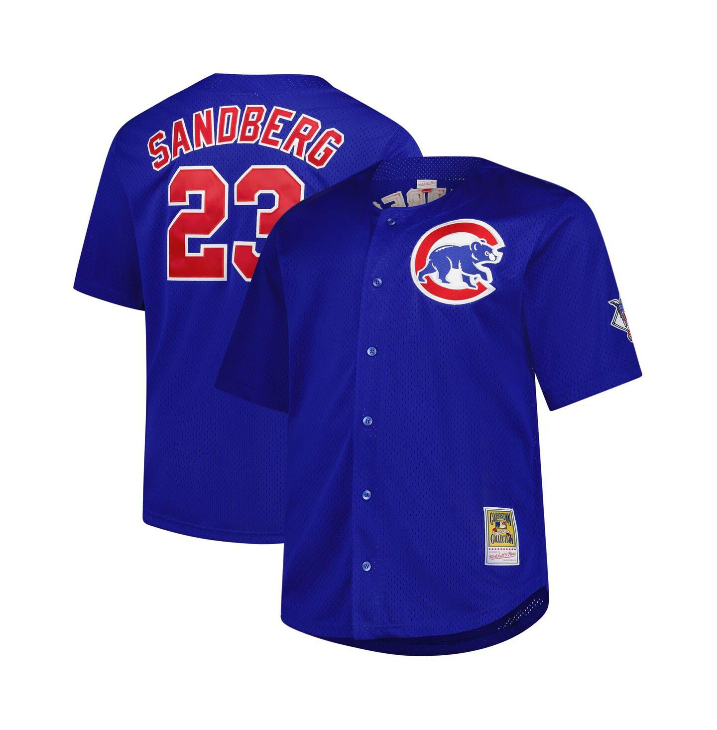 Мужской топ Mitchell & Ness Ryne Sandberg Royal Chicago Cubs Big & Tall Cooperstown Mesh Batting Practice Jersey — фото 1
