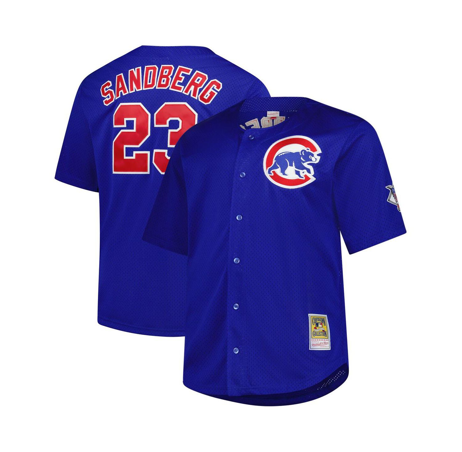 Men's Ryne Sandberg Royal Chicago Cubs Big & Tall Cooperstown Mesh Batting Practice Jersey