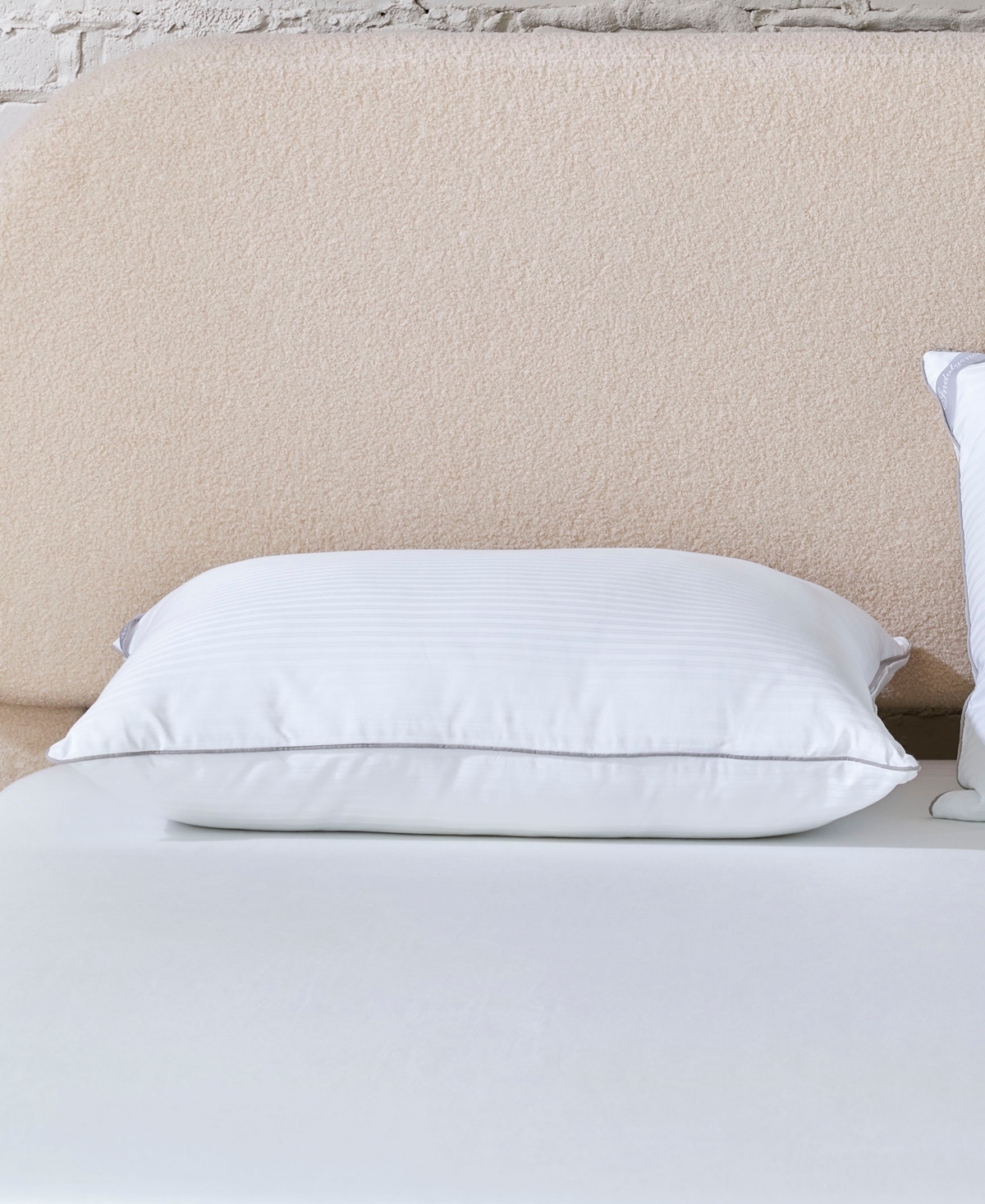 Indulgence by Isotonic 500-thread-count 100% Cotton Cover Back/Stomach Sleeper Pillow