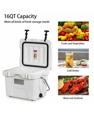 16 Quart 24-Can Capacity Portable Insulated Ice Cooler with 2 Cup Holders