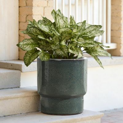 12" Dia Deep Green Round Ceramic Planter Pot, Modern Indoor Outdoor Pot for Plants with Drainage