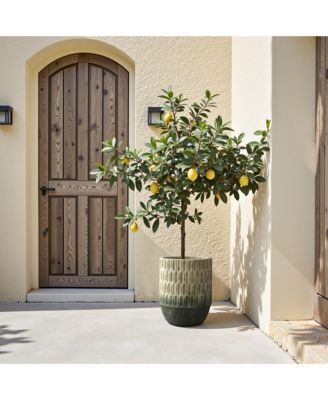 Old-World Brown with Green Bottom 16.5-Inch Tall Round Cement Planter