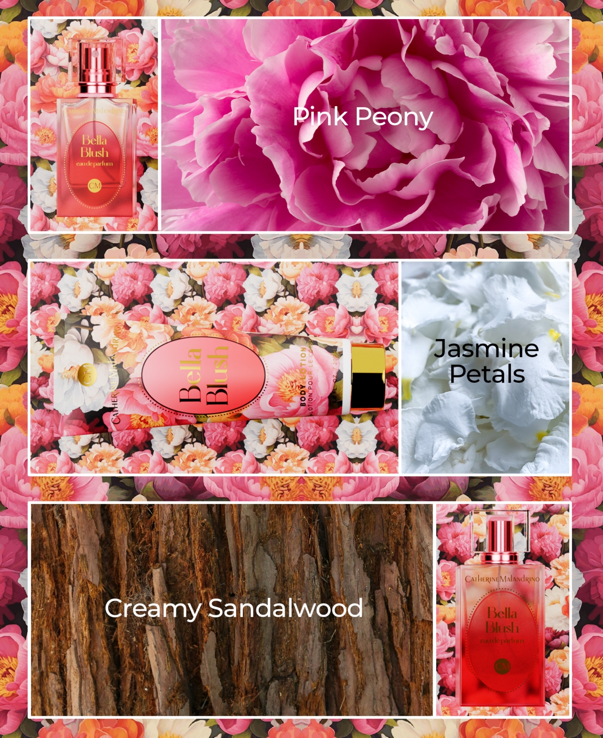 Catherine Malandrino 3-Pc. Bella Blush Gift Set