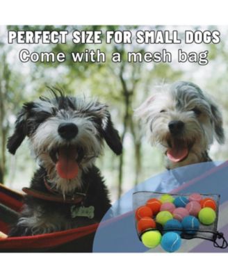 Pack of 20 Small Tennis Balls 2 Inch Size for Dogs Colorful Pet Playing Balls with Mesh Bag for Easy Transport and Interactive Play