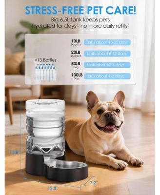 Easy Clean Wide-Mouth Dog Water Dispenser with Removable Bowl
