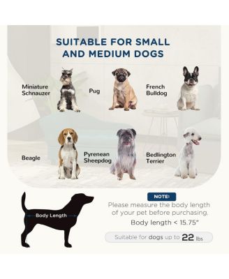 Small Pet Sofa with Storage and Tufted Cushion