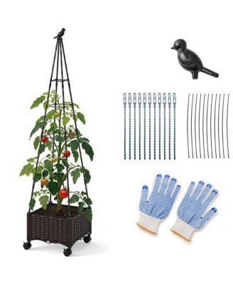 Raised Garden Bed with Trellis and Built-In Planter Boxes