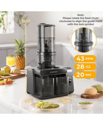 Cold Press Juicer Machine Professional Slow Masticating Juicer with Reverse Button