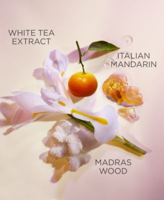 White Tea Pure Indulgence Bath & Shower Gel, 13.5 oz