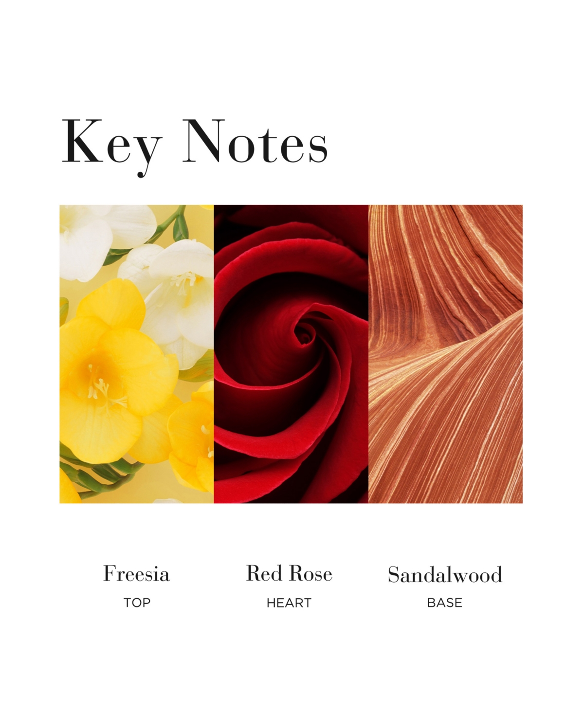 Elizabeth Arden Red Door Body Powder, 5.3 oz.