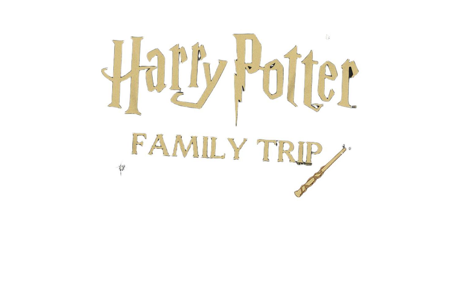 Men's Family Trip Wand T-Shirt