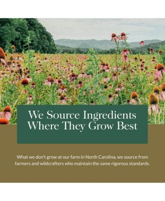 Mighty Lungs - Lung Support Supplement with Herbs Used to Help Maintain Respiratory Health - 60 Liquid Phyto-Caps (60 Servings)