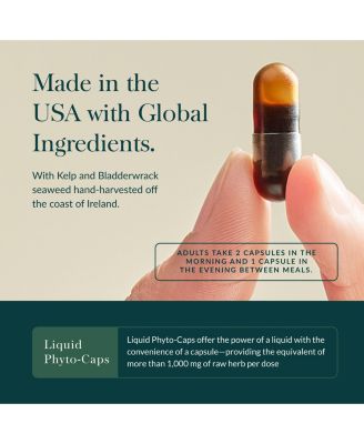 Thyroid Support - Made with Ashwagandha Support Healthy Metabolic Balance & Overall Well-Being - 120 Liquid Phyto-Caps (60 Servings)