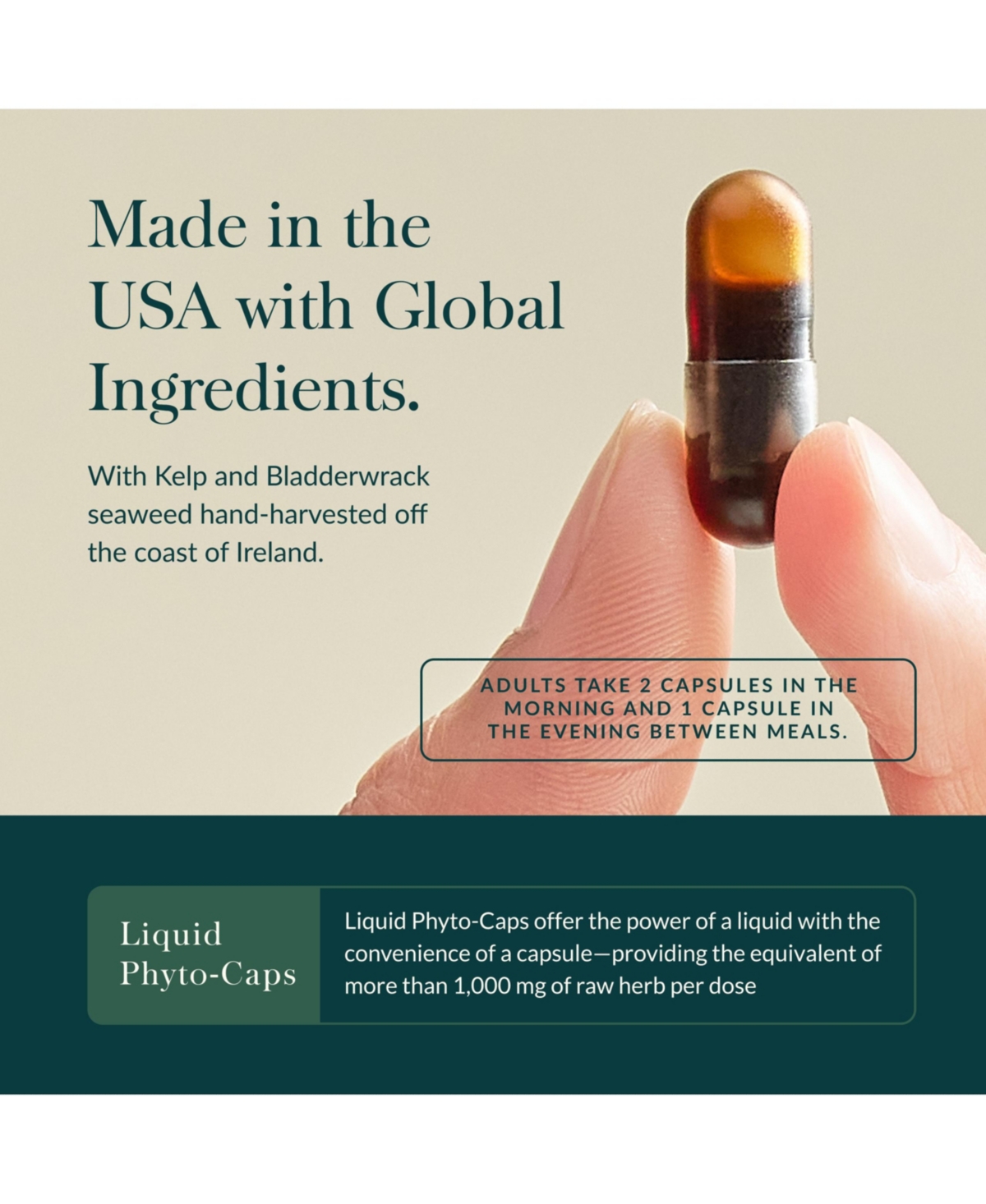 Gaia Herbs Thyroid Support - Made with Ashwagandha, Kelp, Brown Seaweed, and Schisandra to Support Healthy Metabolic Balance and Overall Well-Being