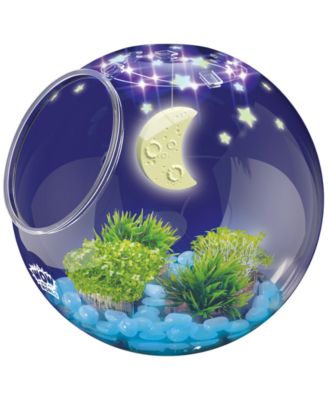 Wow in the World Light-Up Terrarium