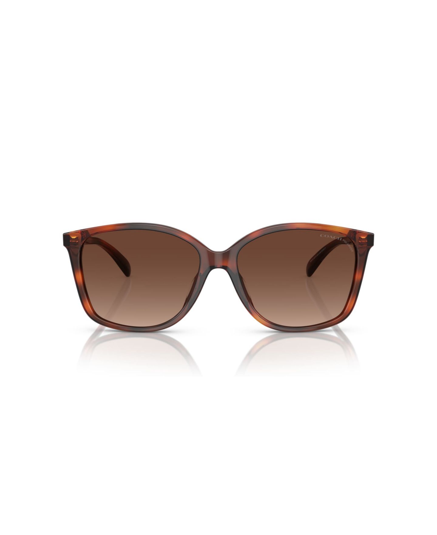 Женские солнцезащитные очки Coach Polarized Sunglasses, CH558 HC8361U, цвет: Карамельный черепаховый — фото 2