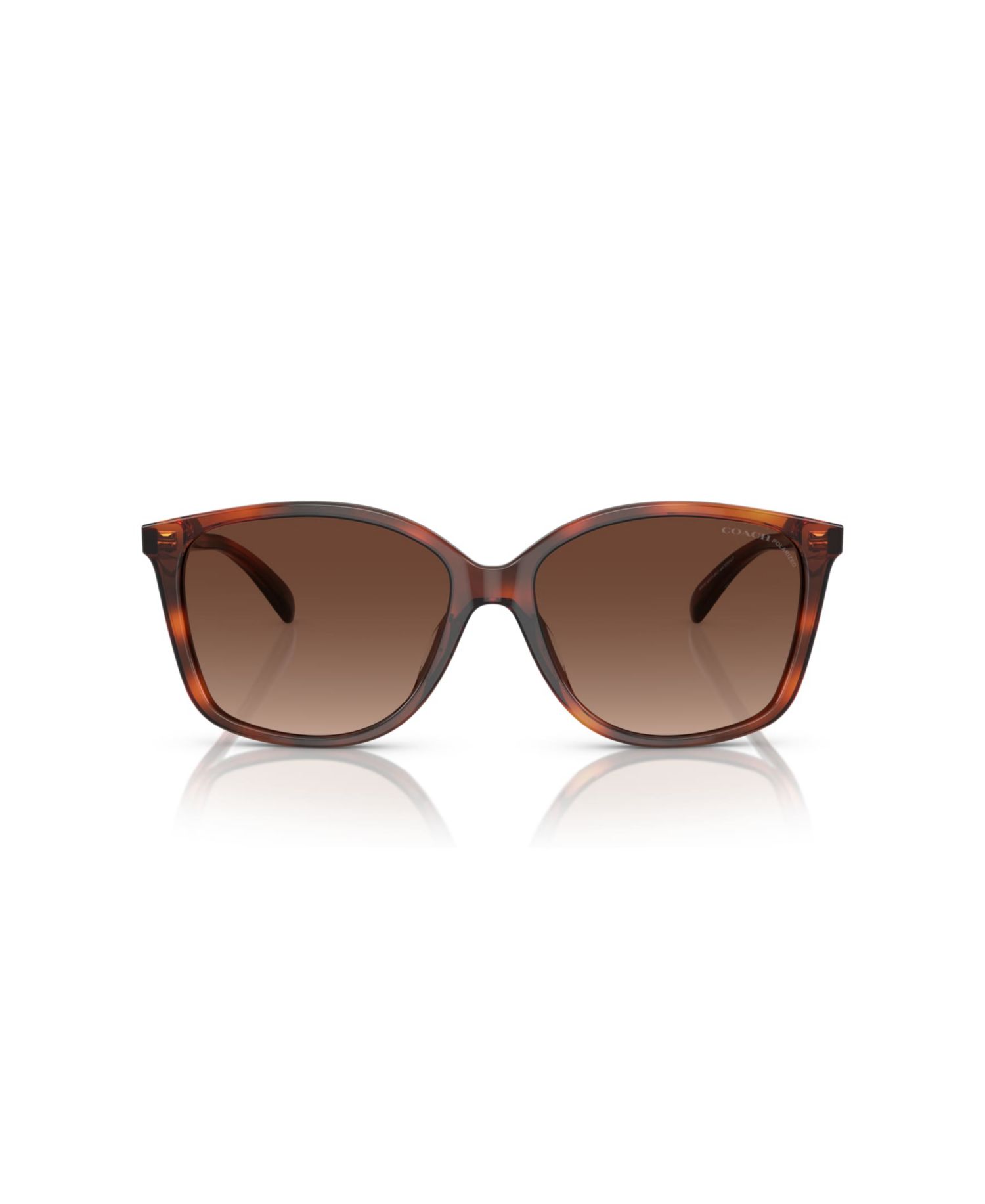 Women's Polarized Sunglasses, CH558 HC8361U