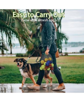 Pack of 20 Squeaky Dog Tennis Balls 2.5 Inch Floatable Fetch Balls in Bright Colors with Mesh Carrying Bag for Pet Training and Exercise